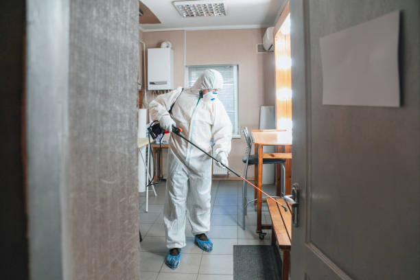 Best Forensic Mold Investigation  in Grand Canyon Village, AZ
